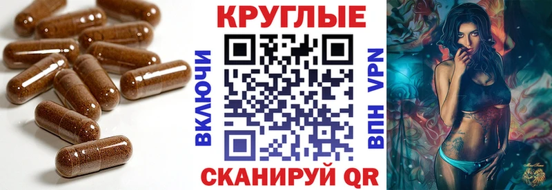 ЭКСТАЗИ бентли  Болохово 