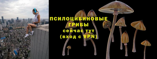 MDMA Кукмор